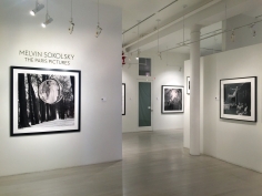 Melvin Sokolsky, Exhibition View