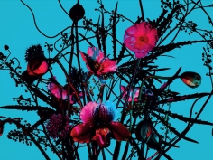 Ben Hassett, Still Life, 2018