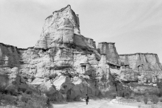 Priscilla Rattazzi, Yermo in his Canyon, 2018