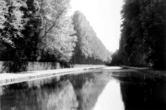 Erica Lennard, Courances, France