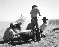 Kurt Markus, Cataract Land and Livestock Co., Williams, Arizona, 1981