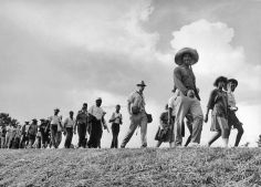 Harry Benson, Meredith March, Mississippi, 1966