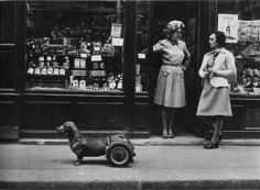 Robert Doisneau, Le Chien à Roulettes, 1977
