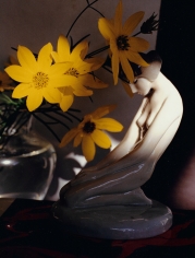 Horst, Coreopsis, c. 1985