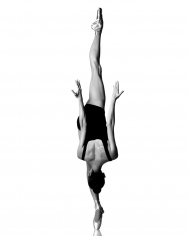Howard Schatz, Balance