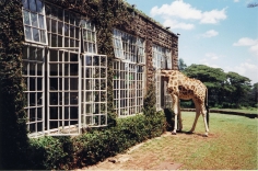 Arthur Elgort, Rubbernecking, Kenya, VOGUE, 2007