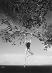Patrick Demarchelier