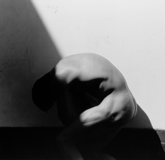 Herb Ritts, Curved Torso, Hollywood, 1989