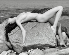 Michael Dweck, Washed Ashore 1, Montauk, 2009