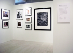 America the Beautiful, Exhibition View