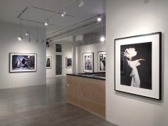 Patrick Demarchelier, Exhibition View