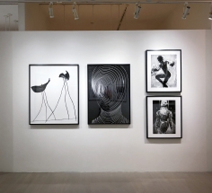 Txema Yeste, Exhibition View