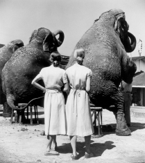 Louise Dahl-Wolfe Twins with Elephants, Sarasota, 1947