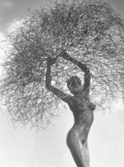 Herb Ritts, Neith with Tumbleweed, Paradise Cove, 1986