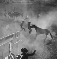 Andre de Dienes, Wild Horse Riding Contest at the Rodeo, Arizona 1950