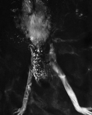 Michael Dweck Mermaid 80