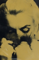 Bert Stern, Marilyn Monroe: From the Last Sitting, 1962