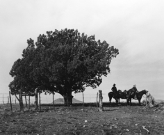 Kurt Markus, Oro Ranch, Prescott, Arizona, 1986