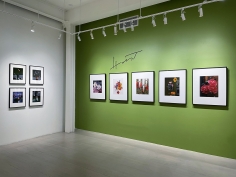 Horst P. Horst / George Hoyningen-Huene, Installation view