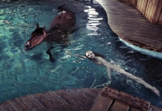 Steven Klein, Girl in Pool with Horse, 2005