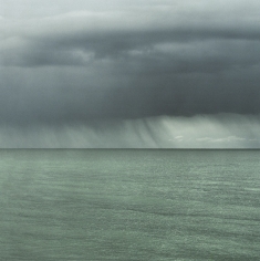 Tim Hall, Storm II