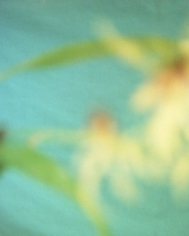 David Seidner, Aqua, 1999