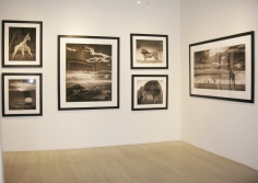 Nick Brandt, Exhibition View