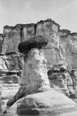 Priscilla Rattazzi, Topless Hoodoo, 2018
