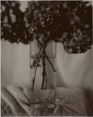 Firooz Zahedi, Hydrangeas, 1997