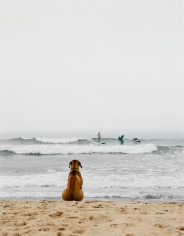 Michael Dweck, Surf Dog, Montauk, New York, 2002