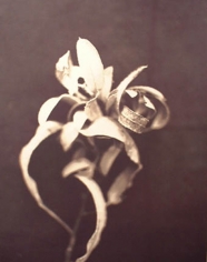 Don Freeman, Branch No. 2, 2001