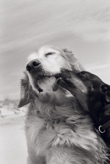 Priscilla Rattazzi, The Kiss, East Hampton, 2009