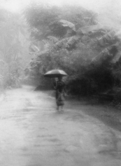 Isabella Ginanneschi, Stormy Weather, 1994
