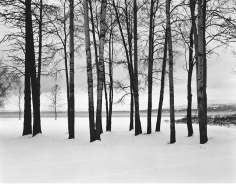 Kurt Markus, Flathead Lake, Montana, 2008