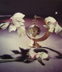 Horst, White Cyclamens with Coco Chanel's Paris Moon Clock, New York, 1988