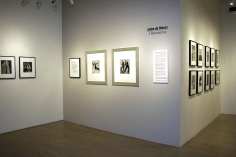 Andre de Dienes, Exhibition View