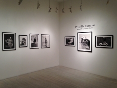 Priscilla Rattazzi, Exhibition View