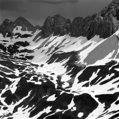Tim Hall, Cow Mountain