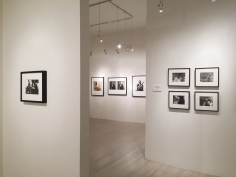 Bert Stern, Exhibition View