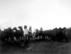Markus, Oro Ranch, Prescott, Arizona, 1987