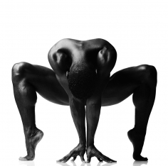 Howard Schatz, Askia Swift 1