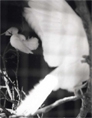 Amanda De Cadenet, Doves, Los Angeles, 2000