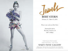Bert Stern, Exhibition Invitation