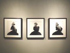 Bert Stern, Exhibition View