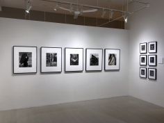 Kurt Markus: A Life in Photography Installation View