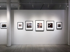 Portraits of Artists, Exhibition View