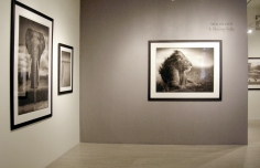 Nick Brandt, Exhibition View