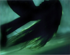 Michael Dweck Mermaid 43