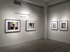 Patrick Demarchelier, Exhibition View