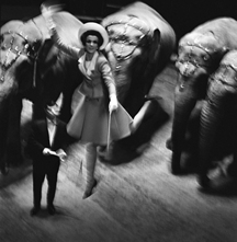 Melvin Sokolsky, Fly Elephants, Paris, 1965